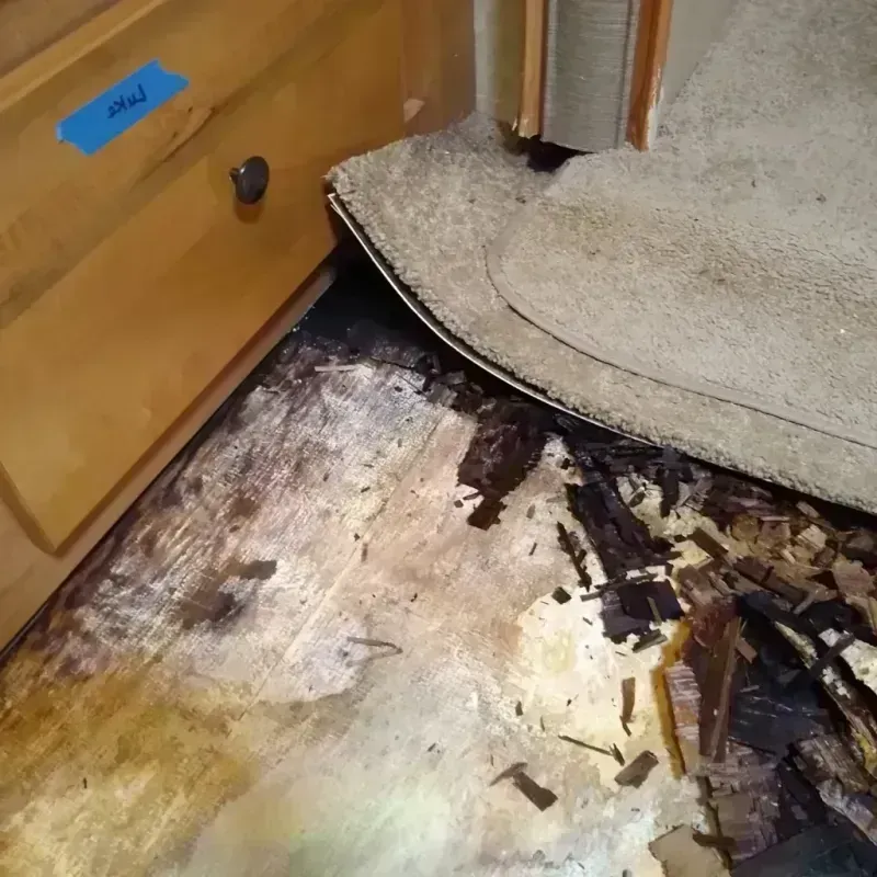 Wood Floor Water Damage in Hollywood, FL